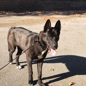 Meet your Posher, Kyle